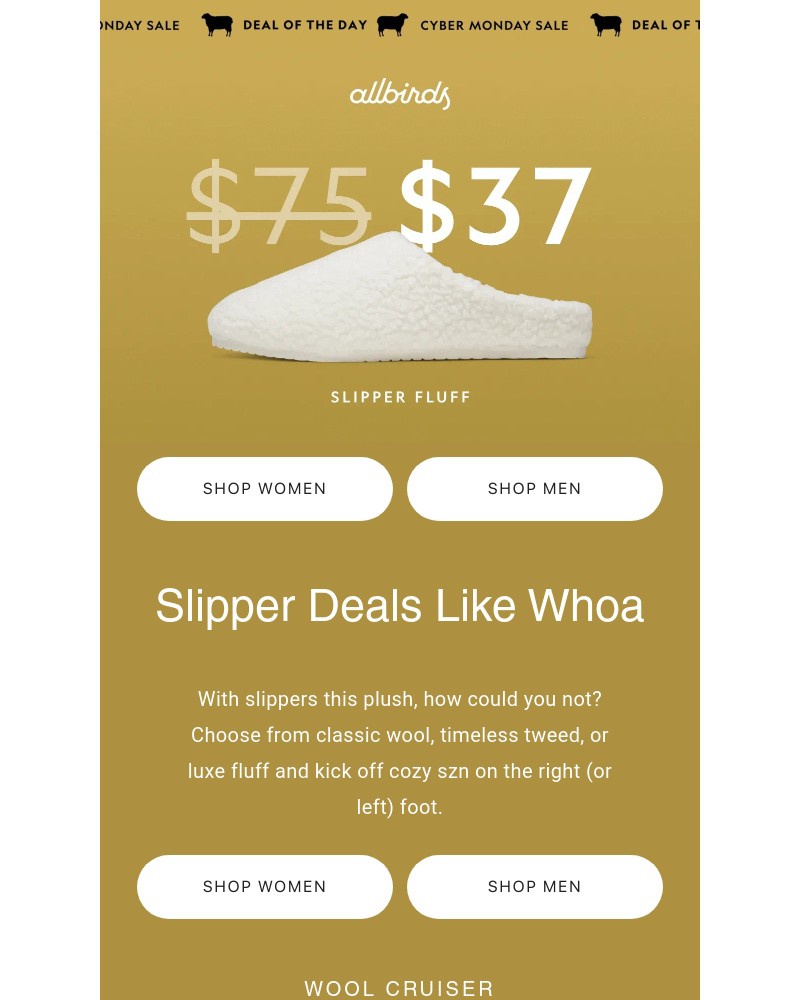 Screenshot of email with subject /media/emails/cozy-up-to-big-savings-6c6b74-cropped-fd6537ae.jpg