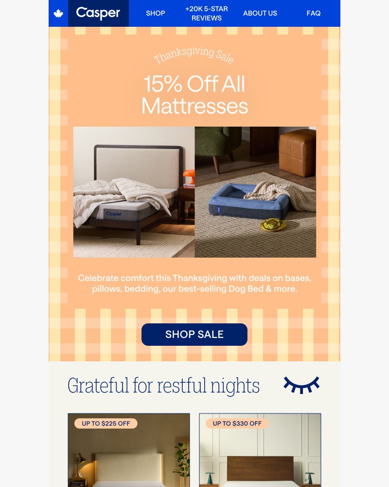 Screenshot of email with subject /media/emails/cozy-up-with-our-thanksgiving-mattress-sale-665092-cropped-13f6c6e4.jpg