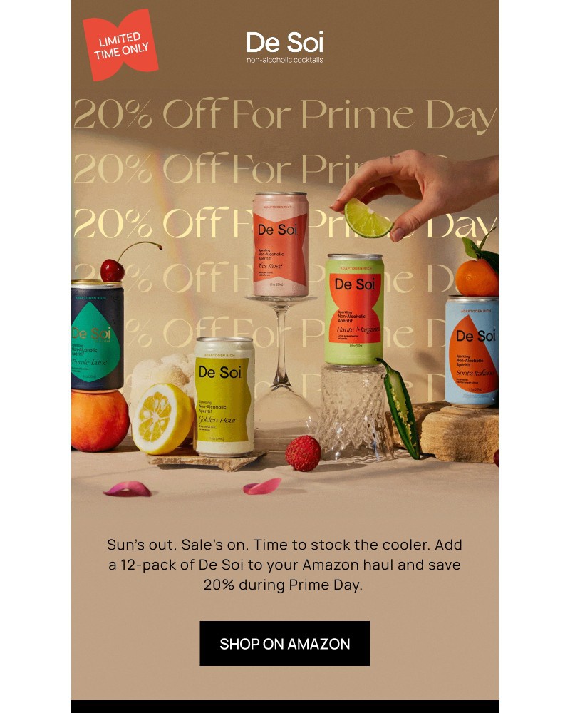 Screenshot of email sent to a De Soi Newsletter subscriber