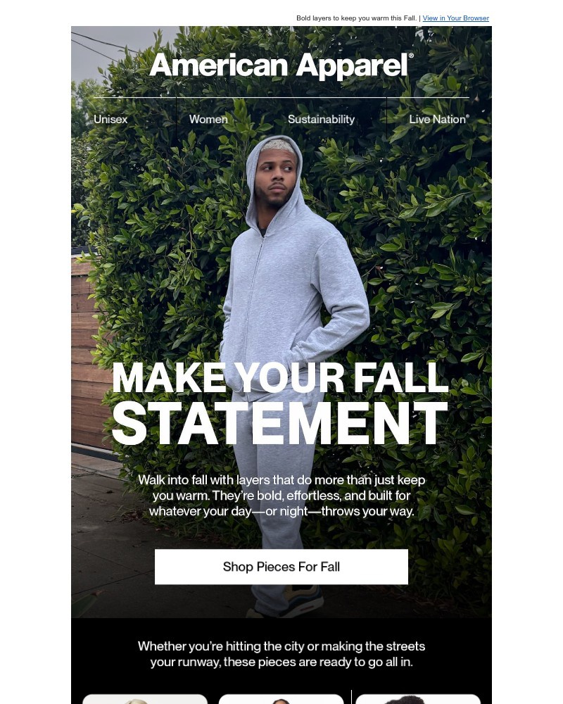 Screenshot of email sent to a American Apparel Newsletter subscriber