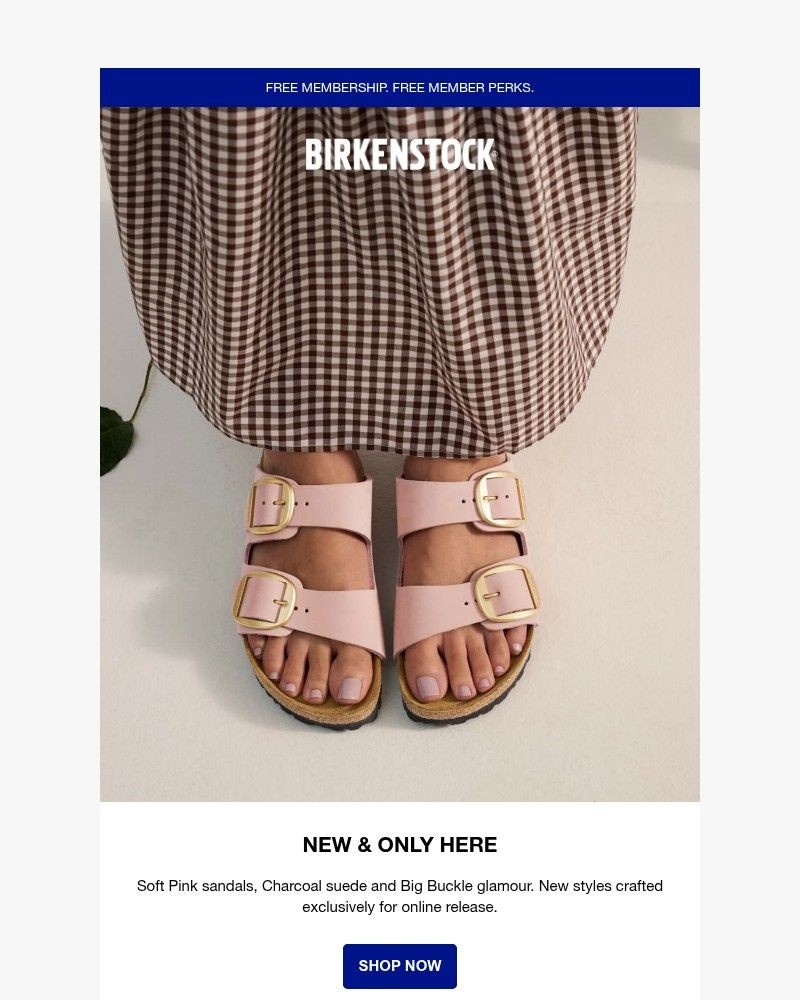 Screenshot of email sent to a Birkenstock Newsletter subscriber