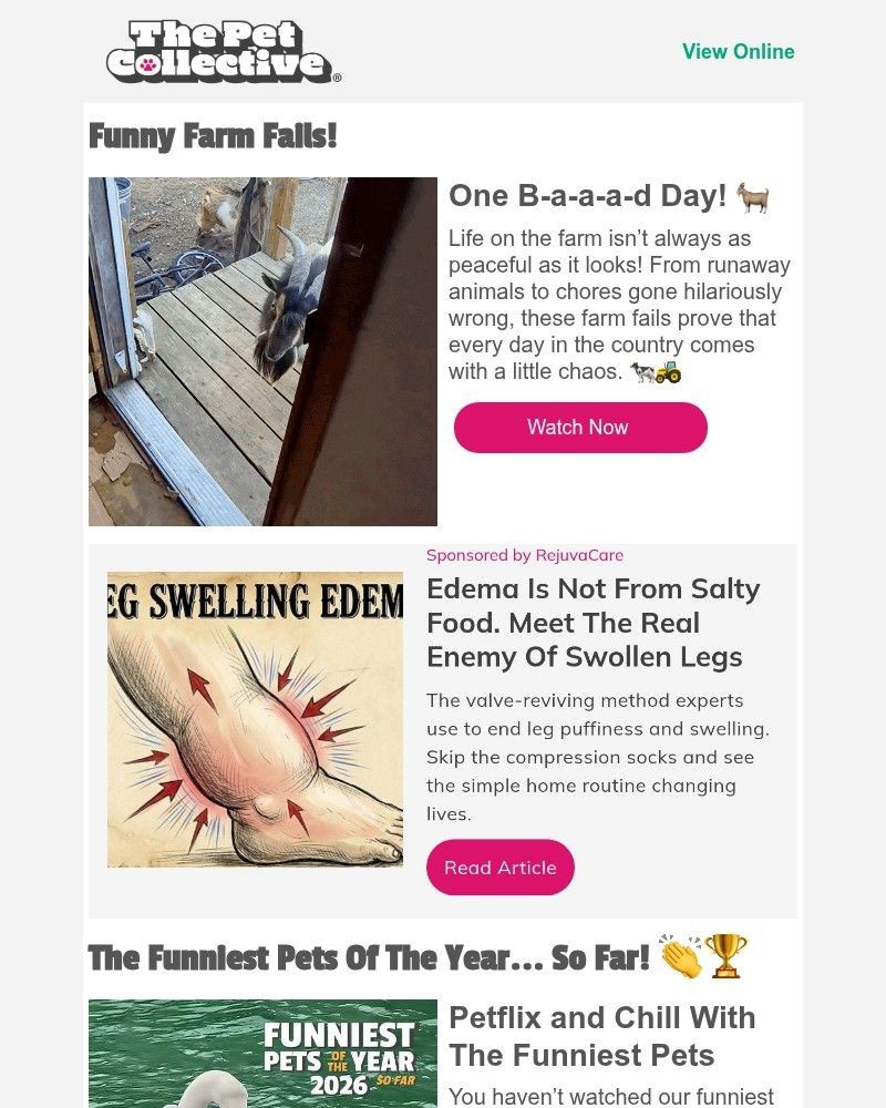 Screenshot of email with subject /media/emails/crazy-video-goat-knocks-open-front-door-059e9a-cropped-65e50a72.jpg