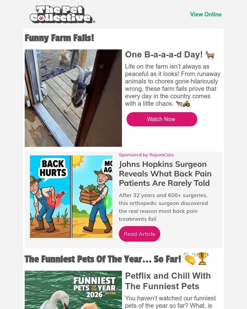 Screenshot of email with subject /media/emails/crazy-video-goat-knocks-open-front-door-d755a0-cropped-1466787a.jpg