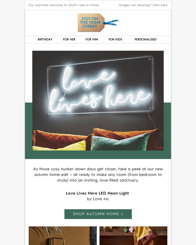 Screenshot of email with subject /media/emails/create-a-sanctuary-of-snug-at-home-cropped-996413fb.jpg