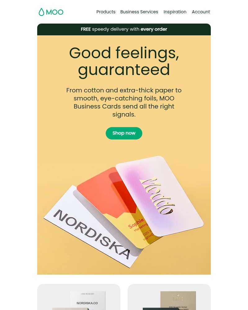 Screenshot of email with subject /media/emails/create-connections-with-premium-tactile-business-cards-9998b2-cropped-8a0295bb.jpg
