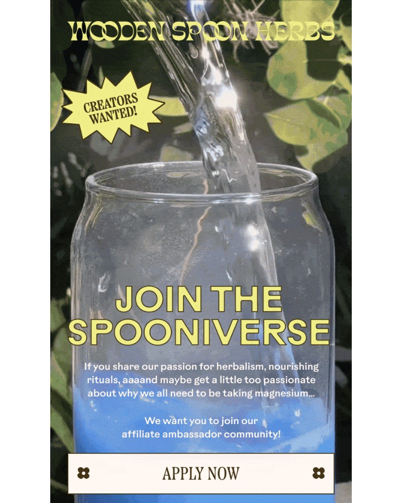 Screenshot of email with subject /media/emails/creators-wanted-c19b03-cropped-12e836fd.jpg