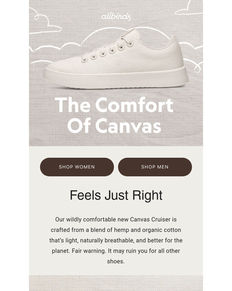 Screenshot of email sent to a Allbirds Newsletter subscriber