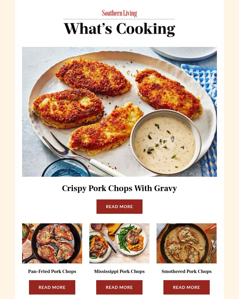 Screenshot of email with subject /media/emails/crispy-pork-chops-with-gravy-234ec8-cropped-aaf353d4.jpg
