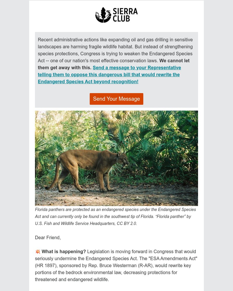 Screenshot of email with subject /media/emails/critical-wildlife-protections-are-under-attack-59094e-cropped-88bddfa5.jpg