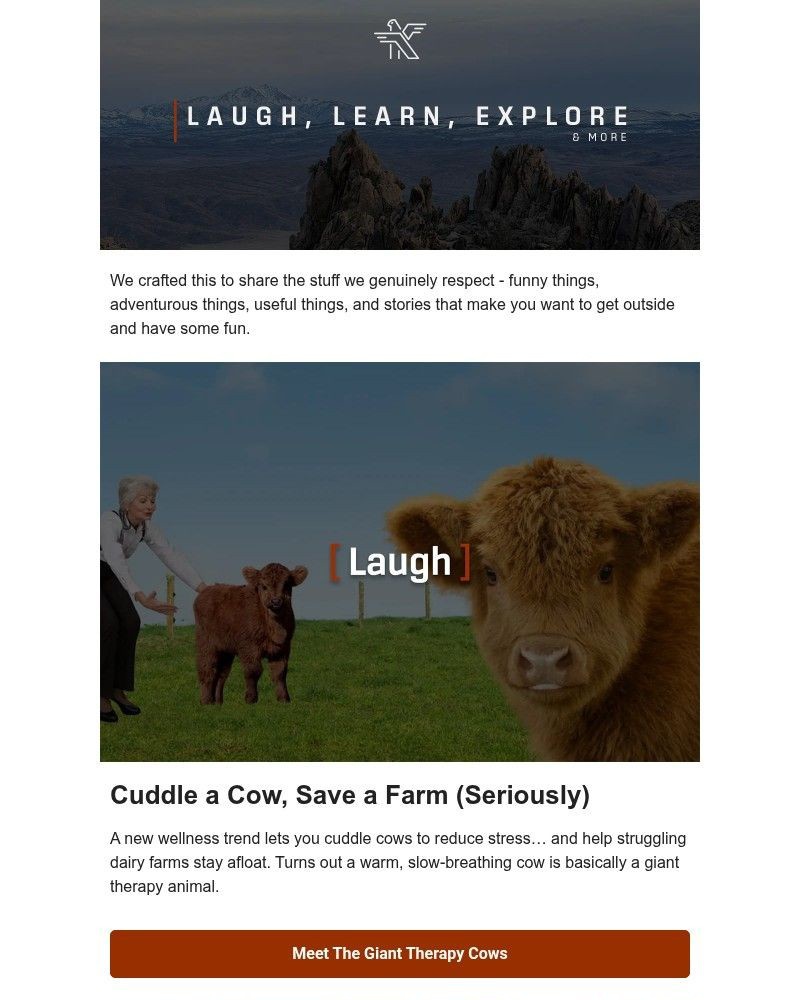 Screenshot of email sent to a KETL Mountain Apparel Newsletter subscriber