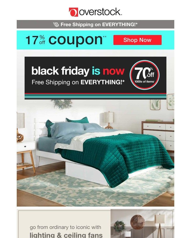 Screenshot of email with subject /media/emails/cue-the-cozy-with-a-17-off-coupon-your-holiday-home-starts-here-shop-now-8ee3eb-c_h1oZdXR.jpg