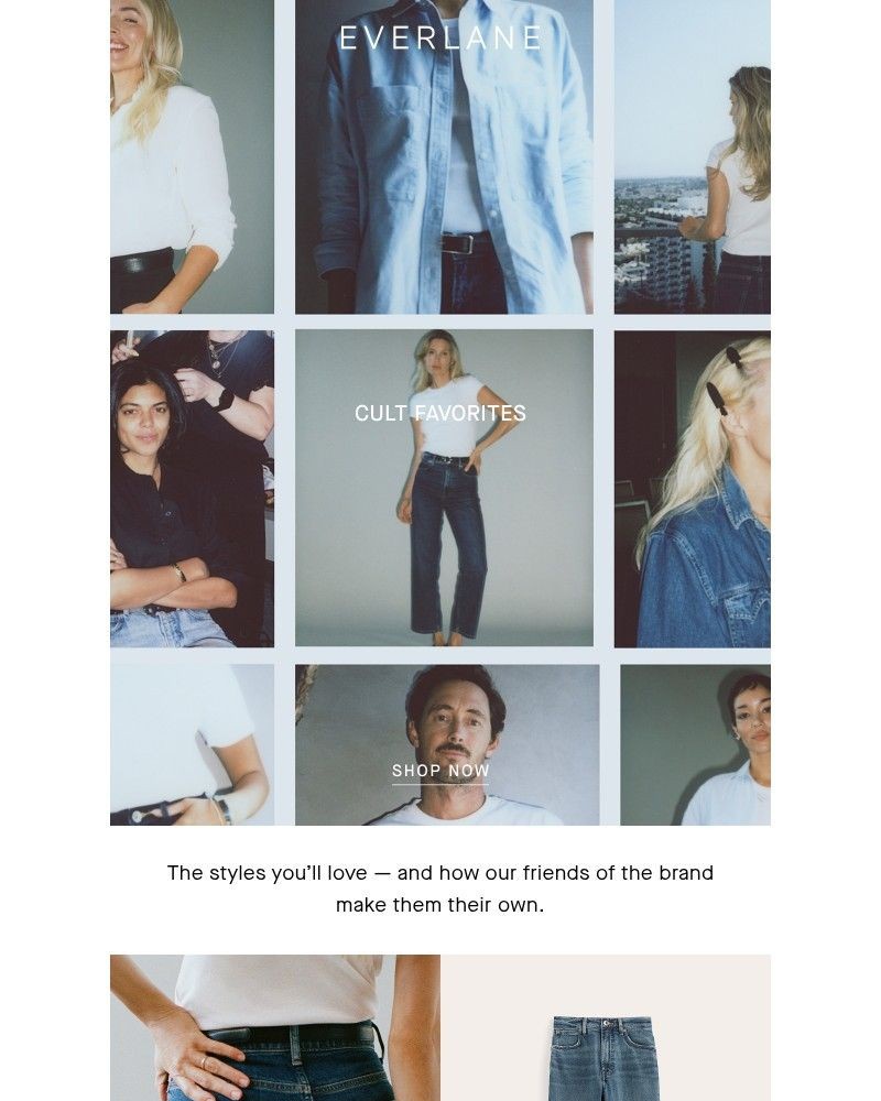 Screenshot of email sent to a Everlane Registered user