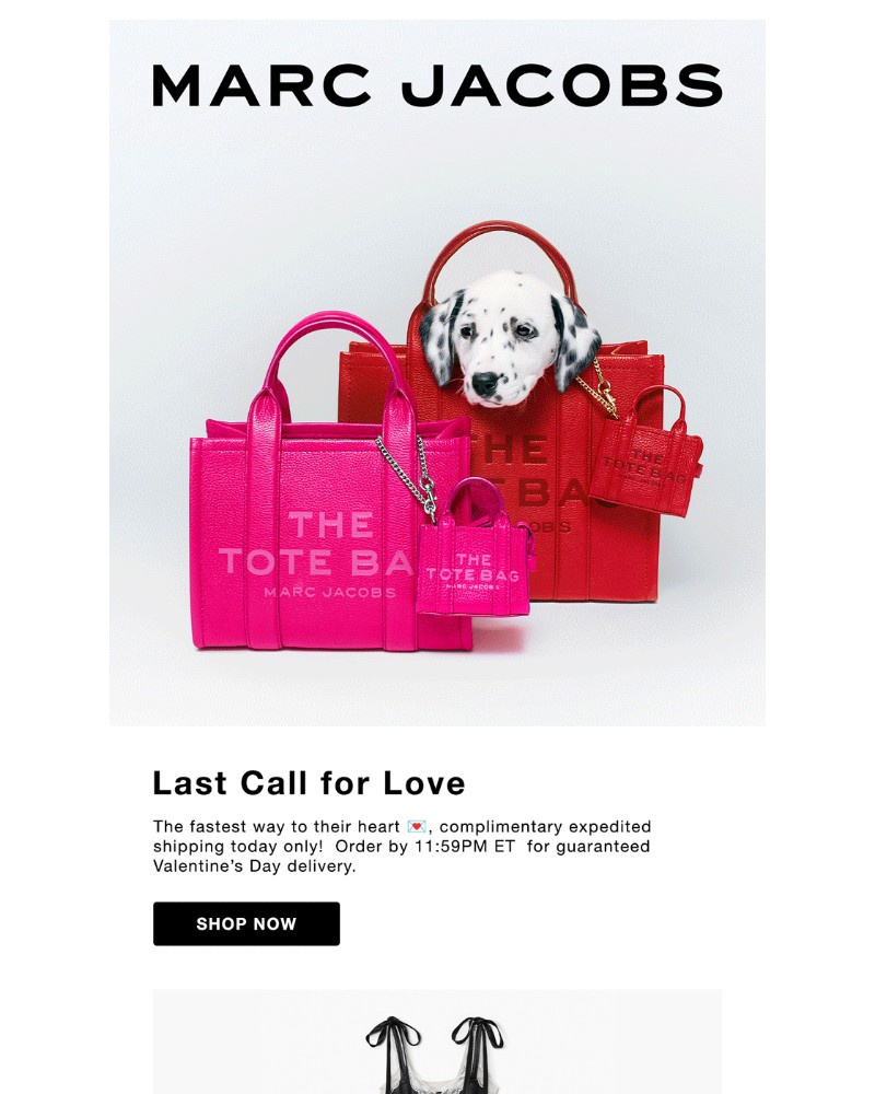 Screenshot of email sent to a Marc Jacobs Newsletter subscriber