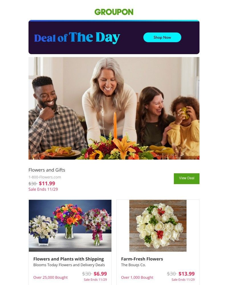 Screenshot of email with subject /media/emails/curious-what-todays-deal-of-the-day-is-7acf17-cropped-f2311d4a.jpg