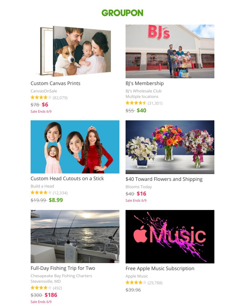 Screenshot of email with subject /media/emails/custom-canvas-prints-bjs-membership-custom-head-cutouts-on-a-stick-6f4f93-cropped_XaGz9vC.jpg