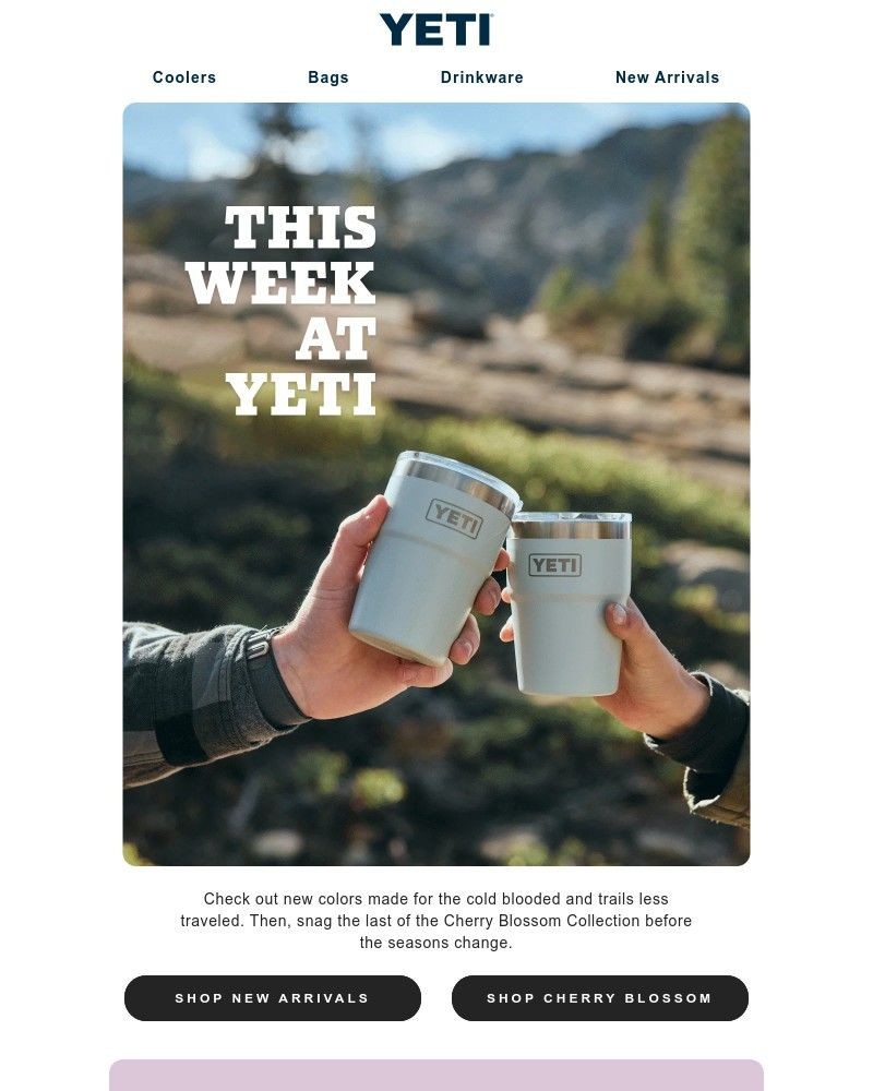 Screenshot of email sent to a Yeti Newsletter subscriber