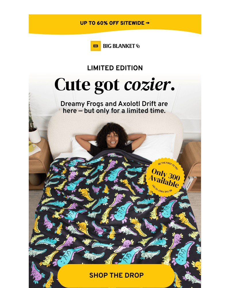 Screenshot of email sent to a Big Blanket Co. Newsletter subscriber