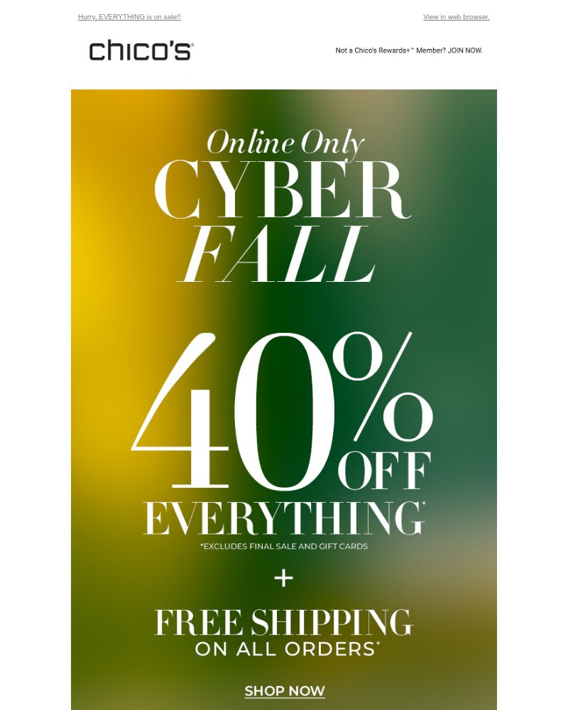 Screenshot of email with subject /media/emails/cyber-fall-ends-today-40-off-free-shipping-50a13a-cropped-f683995a.jpg