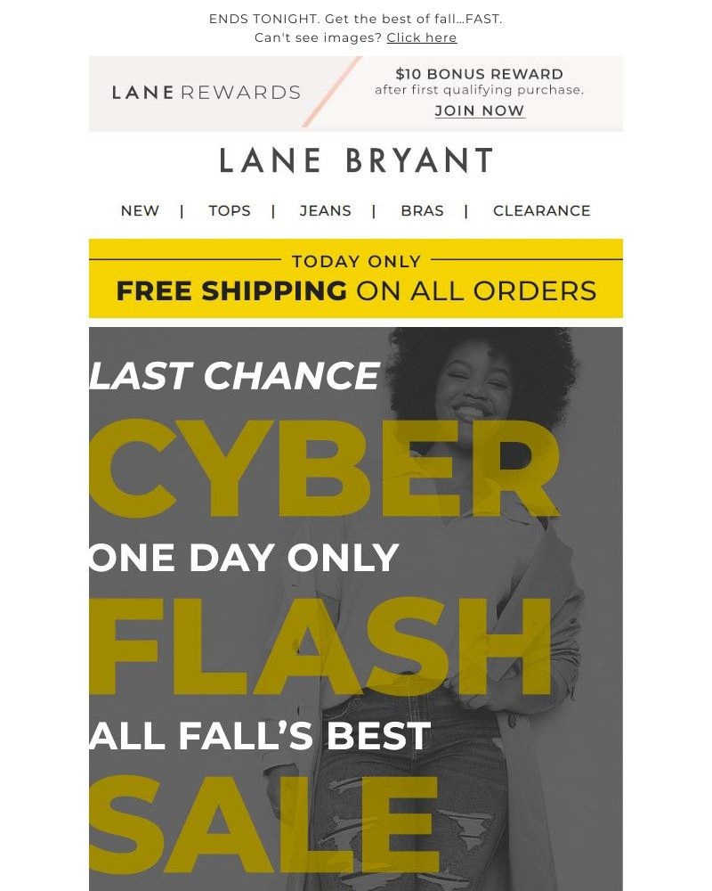 Screenshot of email with subject /media/emails/cyber-flash-sale-50-off-free-shipping-2c1254-cropped-4d5f0bac.jpg