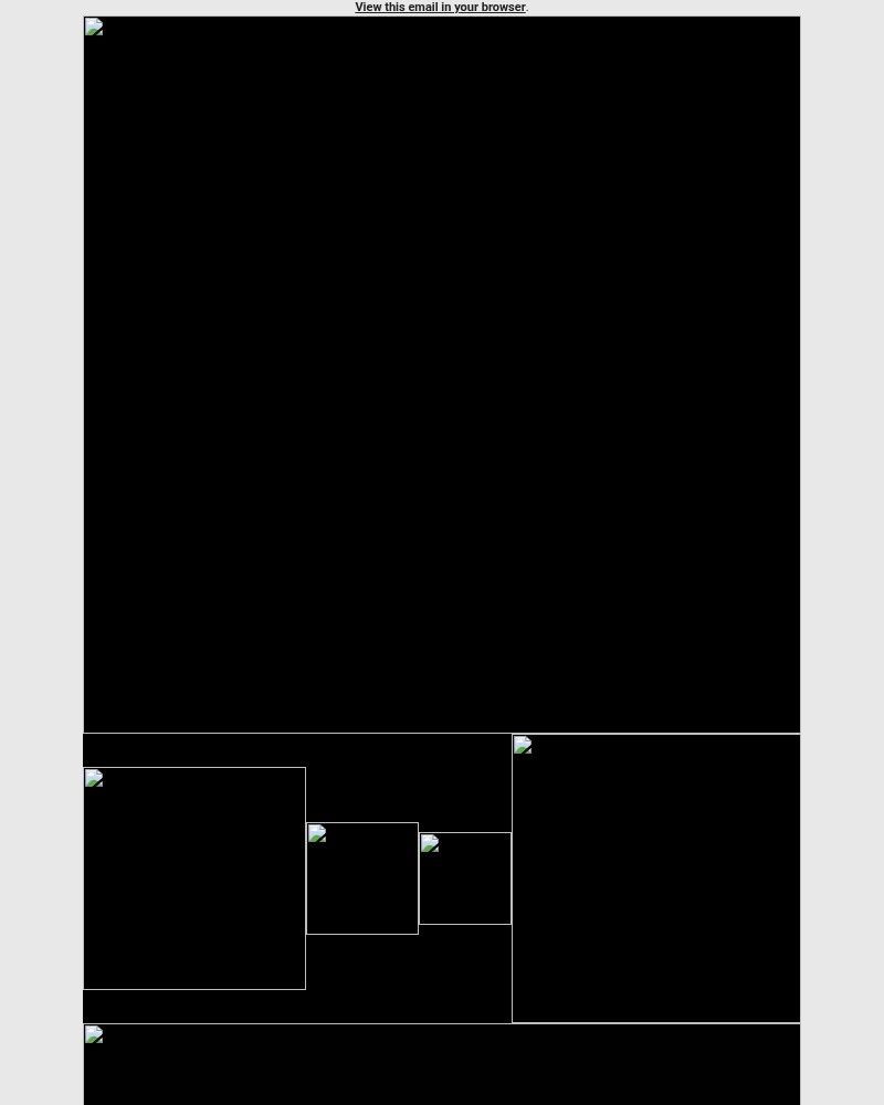 Screenshot of email sent to a Newegg Newsletter subscriber