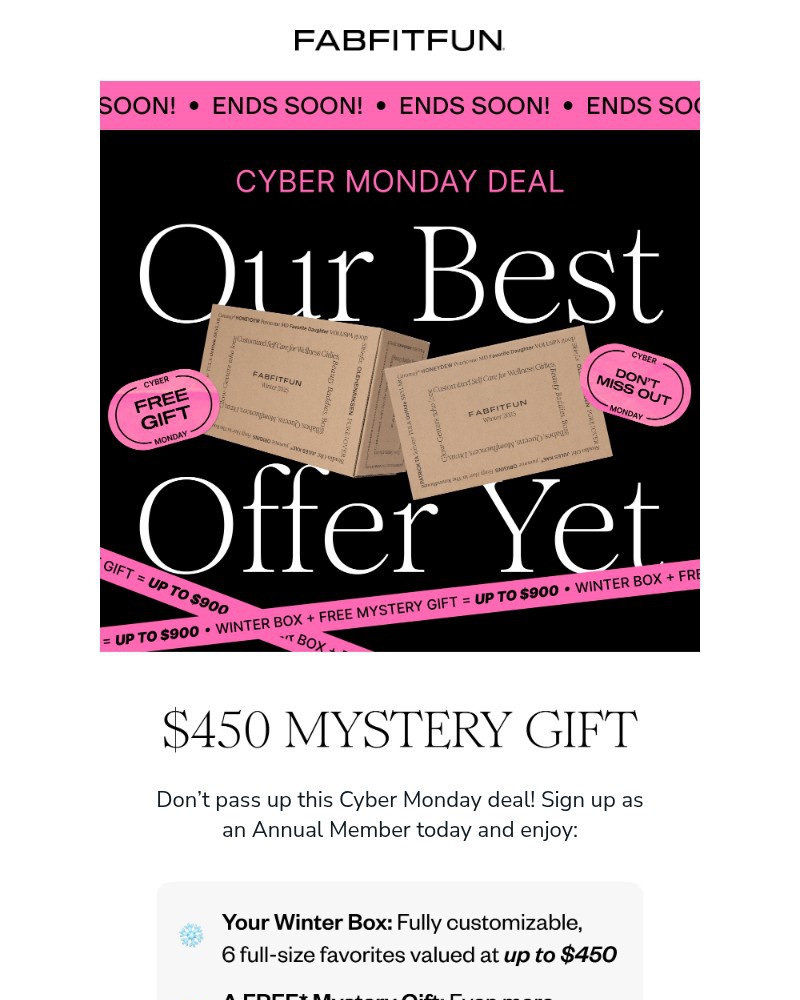 Screenshot of email with subject /media/emails/cyber-monday-deal-free-450-gift-8f6f38-cropped-947b63d8.jpg
