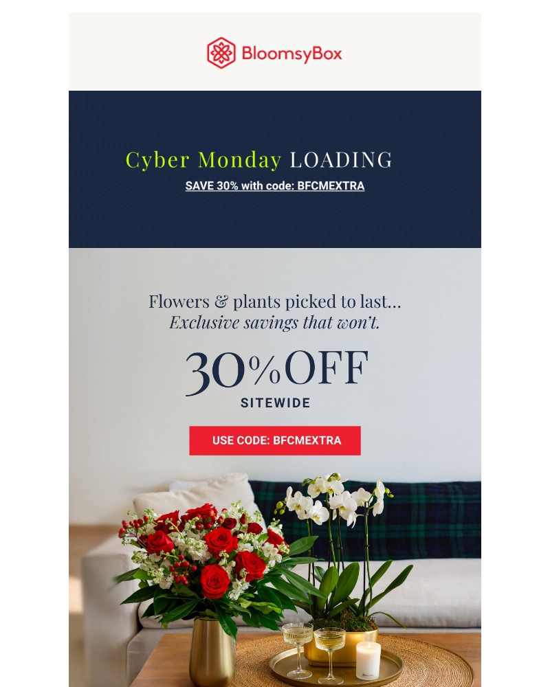 Screenshot of email with subject /media/emails/cyber-monday-loading-take-30-off-today-4ad8c6-cropped-9954fc3f.jpg