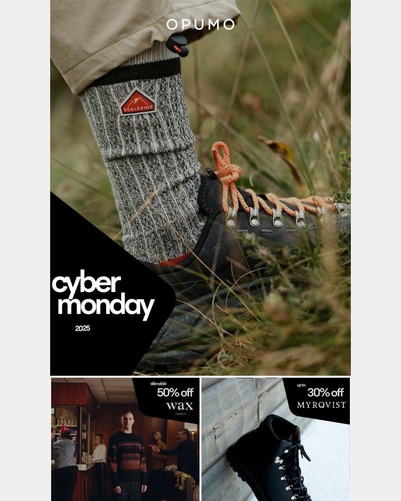 Screenshot of email with subject /media/emails/cyber-monday-mood-2c20d1-cropped-e80d7d2d.jpg