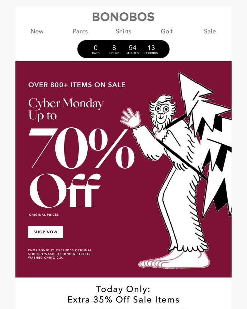 Screenshot of email with subject /media/emails/cyber-monday-up-to-70-off-800-sale-items-35d723-cropped-3eee900c.jpg
