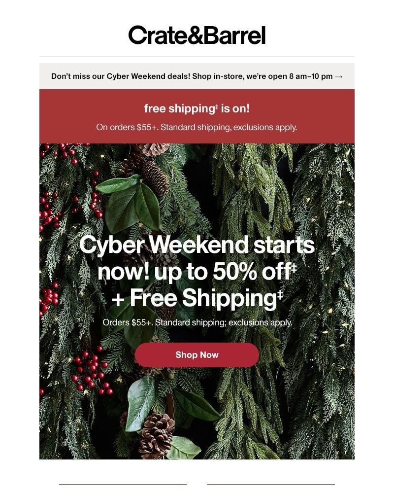 Screenshot of email with subject /media/emails/cyber-weekend-is-here-shop-up-to-50-off-3187cd-cropped-4a48b485.jpg