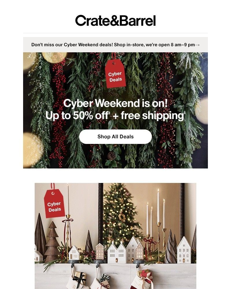 Screenshot of email sent to a Crate & Barrel Newsletter subscriber