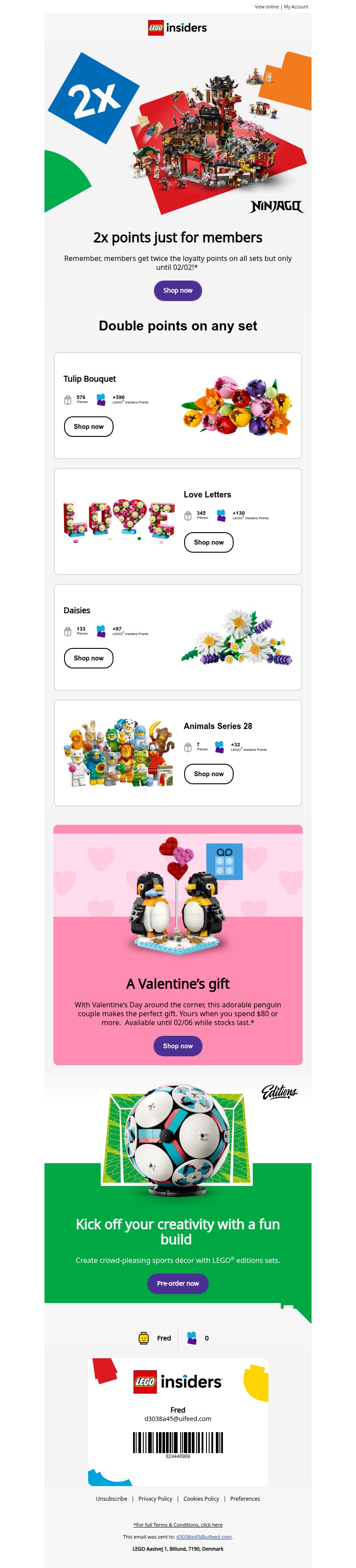 Screenshot of email with subject /media/emails/d0776376-a929-4fb9-a947-8277ef43e5f4.jpg