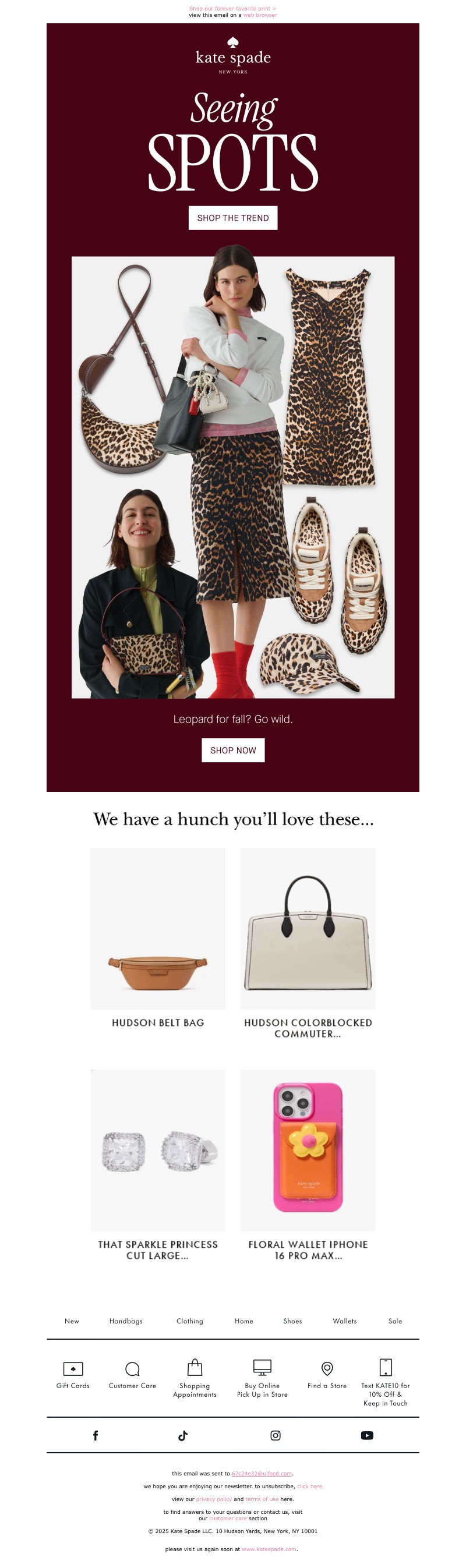 Screenshot of email with subject /media/emails/d07f7ddc-583b-41c8-9aa0-462ef52f5df3.jpg