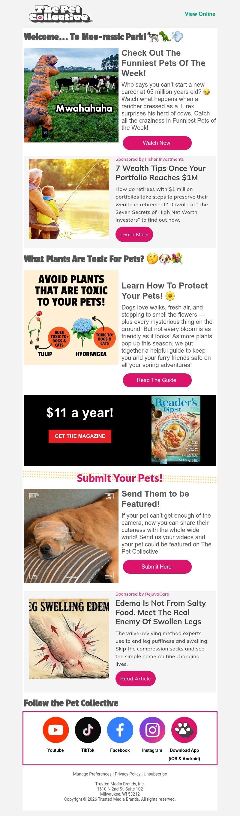 Screenshot of email with subject /media/emails/d1aa6658-f670-4dbb-aba2-4cc64ac4f2ff.jpg