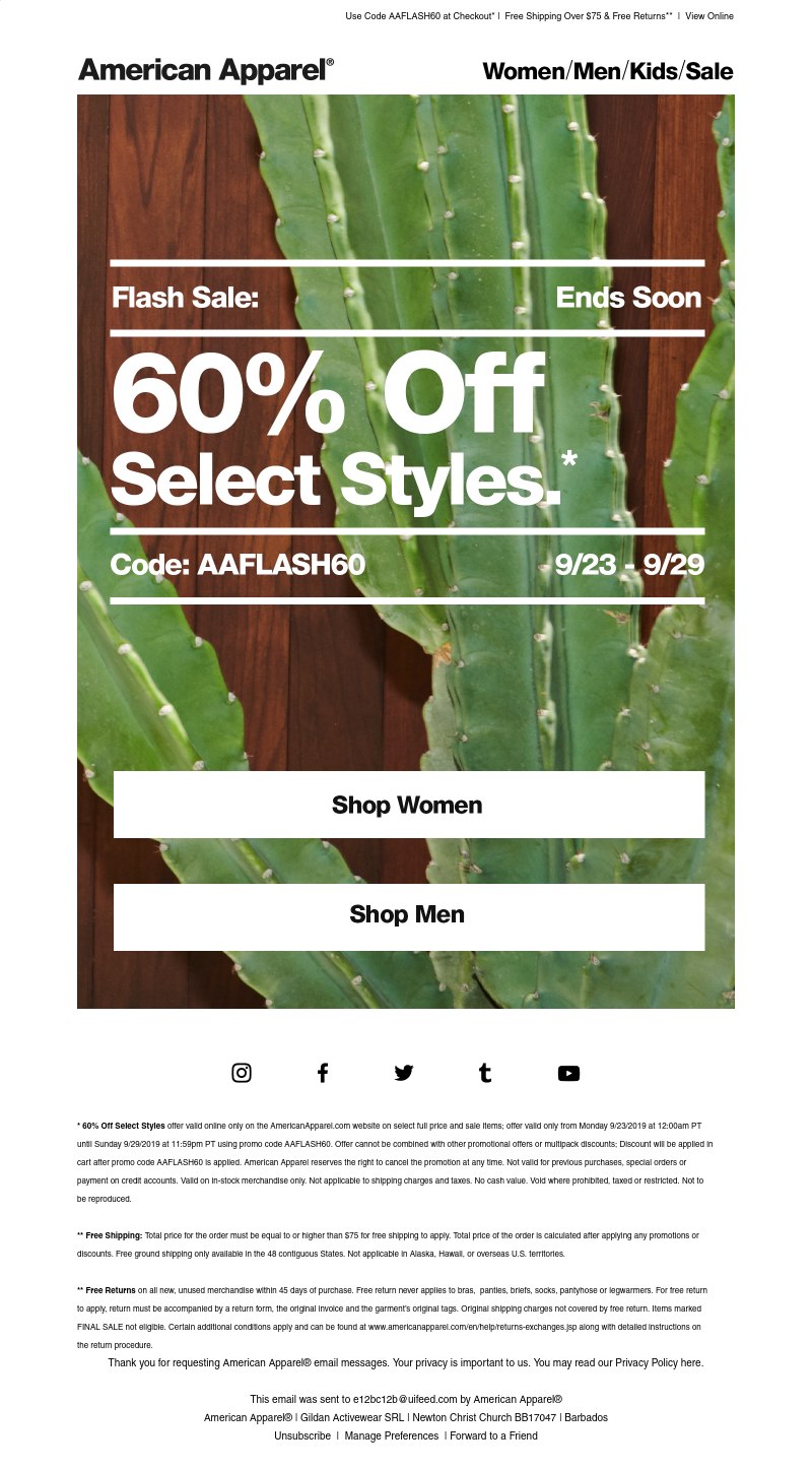Screenshot of email with subject /media/emails/d1c62122-244c-4888-acda-68d6750d0082.png