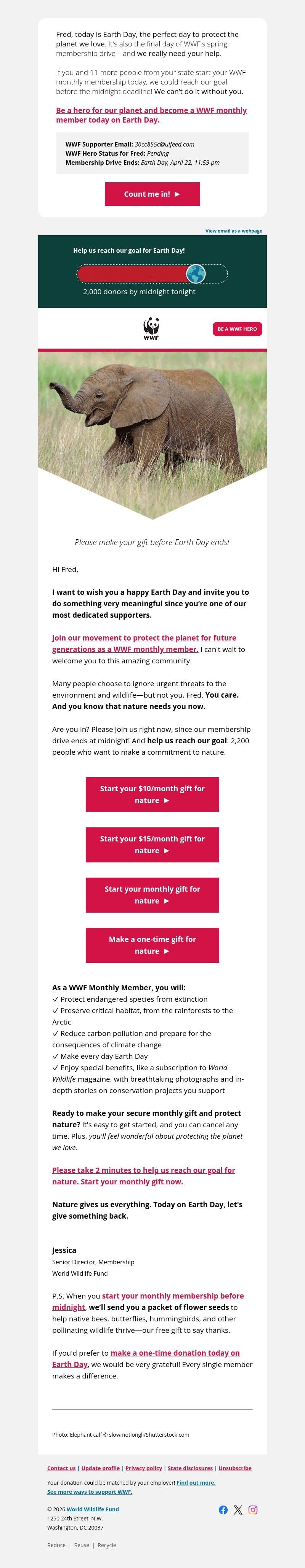 Screenshot of email with subject /media/emails/d1cef494-28fa-4872-a455-07843e015b38.jpg
