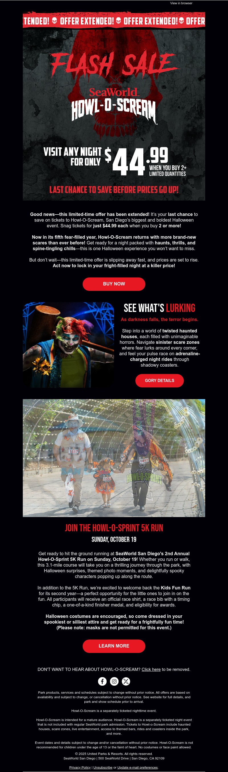 Screenshot of email with subject /media/emails/d21e3b4d-ef38-48ca-80c9-acaeff82a38c.jpg