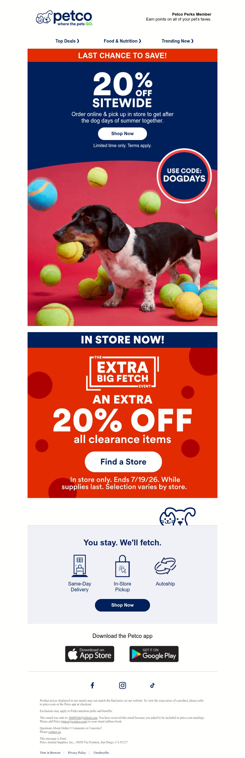 Screenshot of email with subject /media/emails/d2472b40-1659-4bc3-830f-55e4445a1e7d.jpg