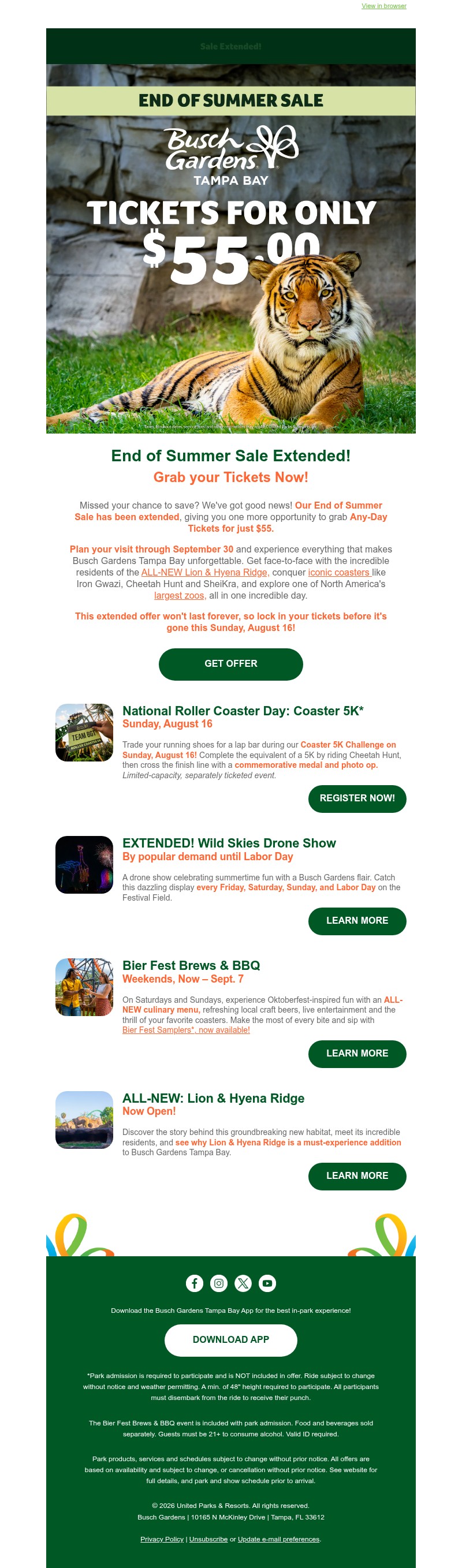 Screenshot of email with subject /media/emails/d27613a6-bee8-4682-837a-14ca176b8625.jpg
