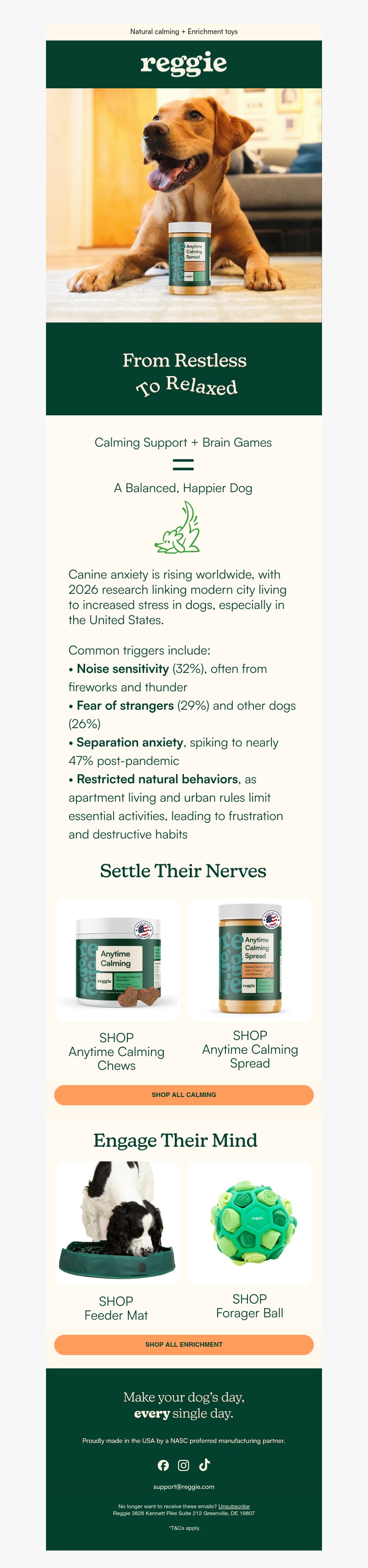 Screenshot of email with subject /media/emails/d2804da4-478b-4d89-9c62-93548fc15026.jpg