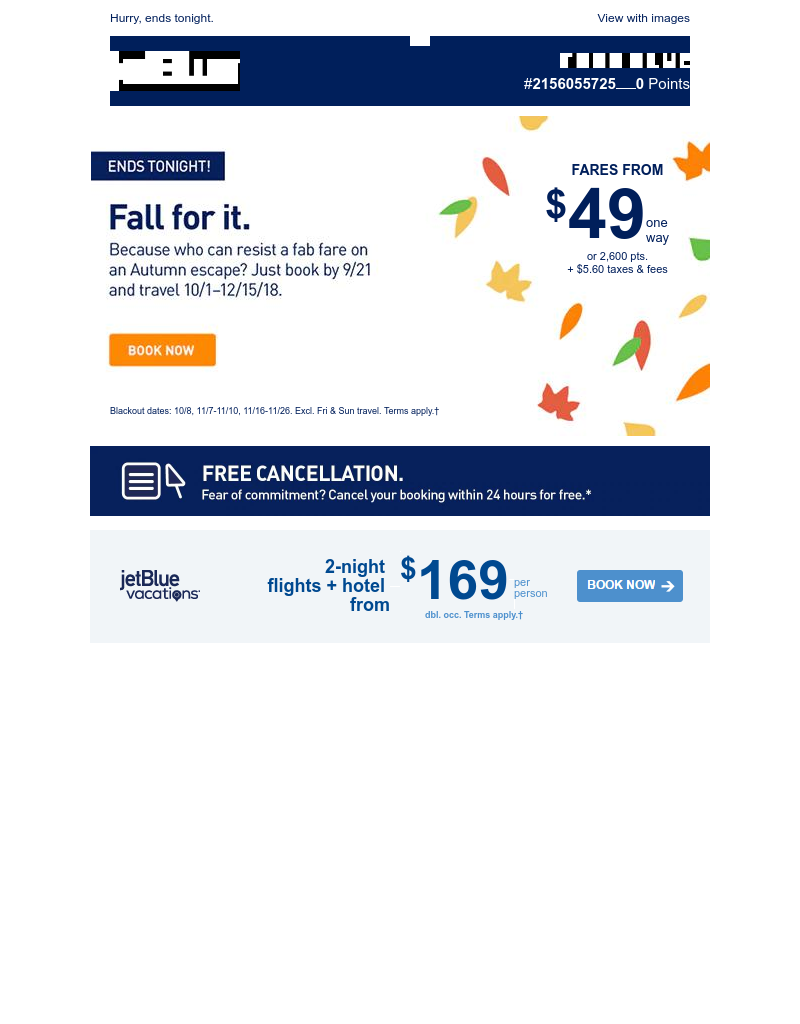 Screenshot of email with subject /media/emails/d364b64e-fa86-41d7-b8f3-ff0f1ff576df.png