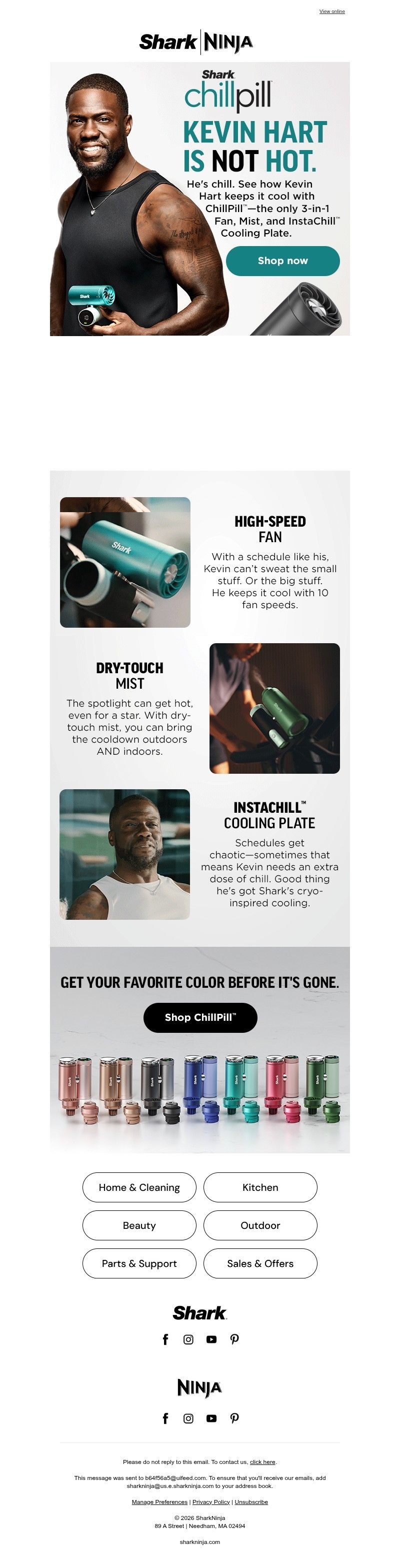 Screenshot of email with subject /media/emails/d391a824-1cbd-4793-90e3-97c9f9ffd93c.jpg