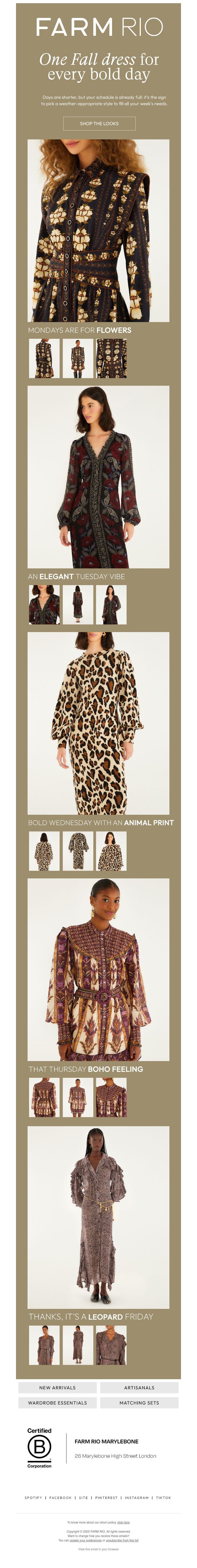 Screenshot of email with subject /media/emails/d416379e-e8aa-4c77-a920-e512ea1f86e4.jpg