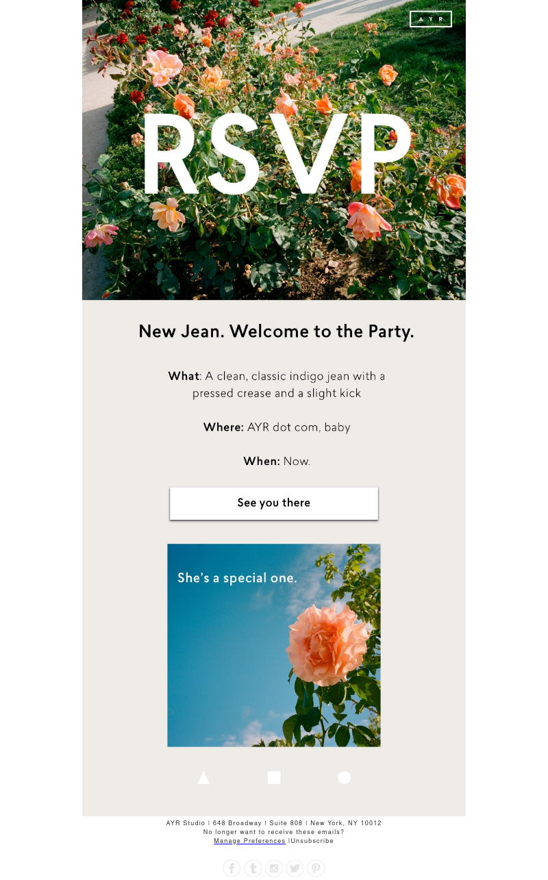 Screenshot of email with subject /media/emails/d46f5943-499a-448e-93a4-1699af62c271.png