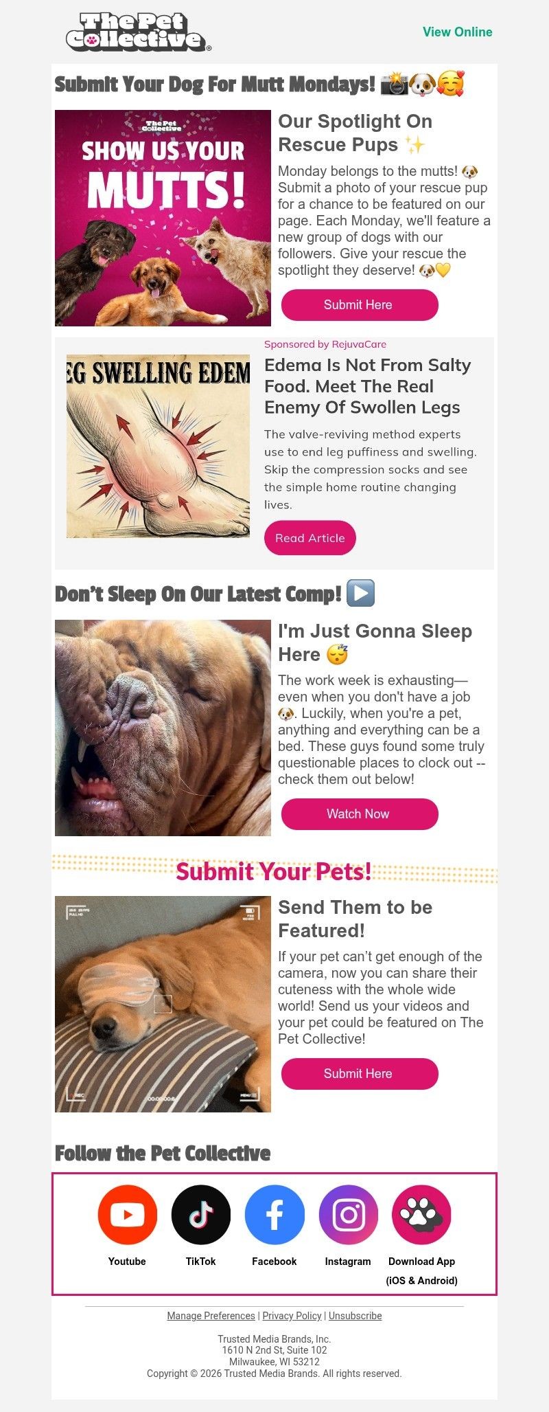 Screenshot of email with subject /media/emails/d6140300-6b2f-4149-beb8-396354606e5e.jpg