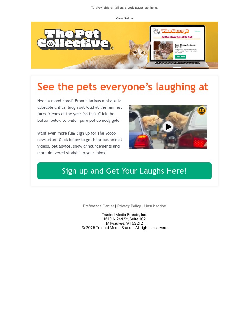 Screenshot of email with subject /media/emails/d64a4312-d84b-4737-85a9-c61130068237.jpg