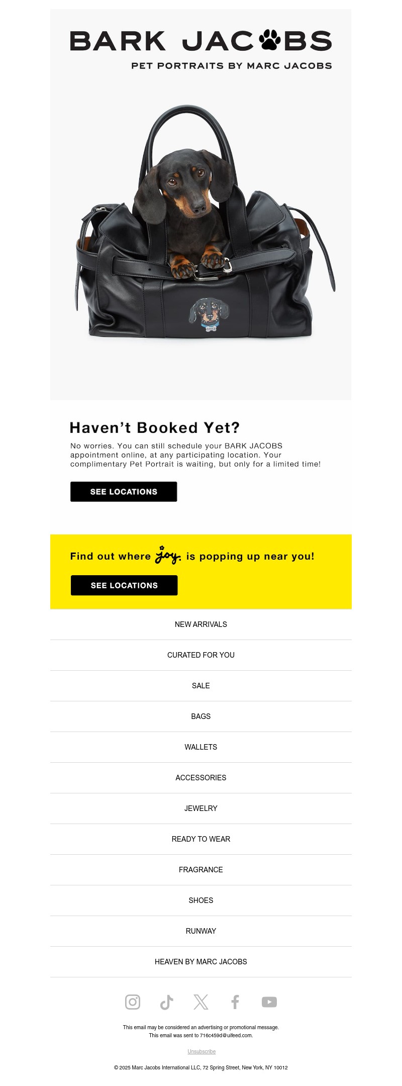 Screenshot of email with subject /media/emails/d64fb407-a4cc-4ea8-8749-2f163e611fab.jpg