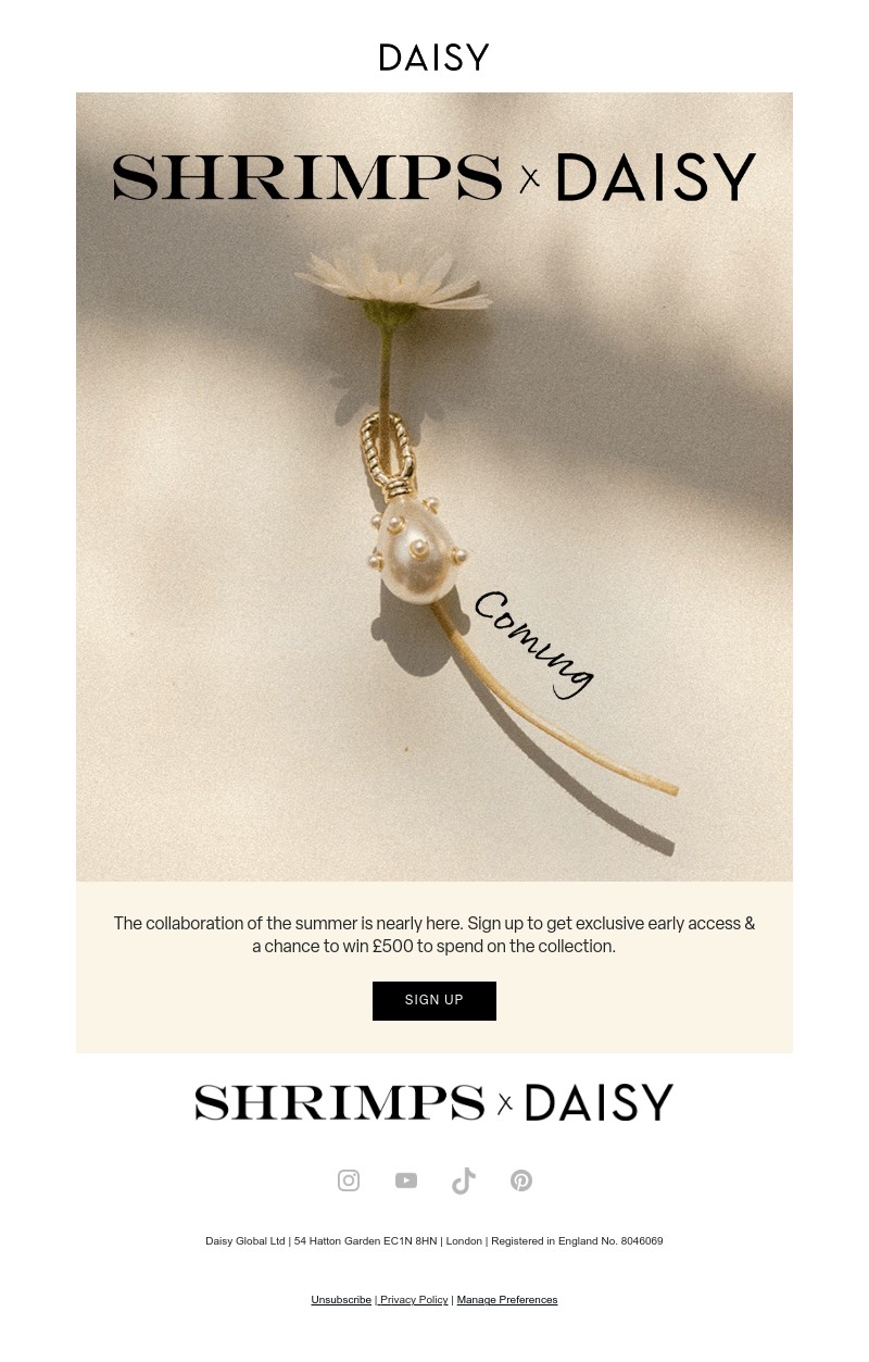 Screenshot of email with subject /media/emails/d666f5ff-7a01-4490-bb65-e68d364fad91.jpg