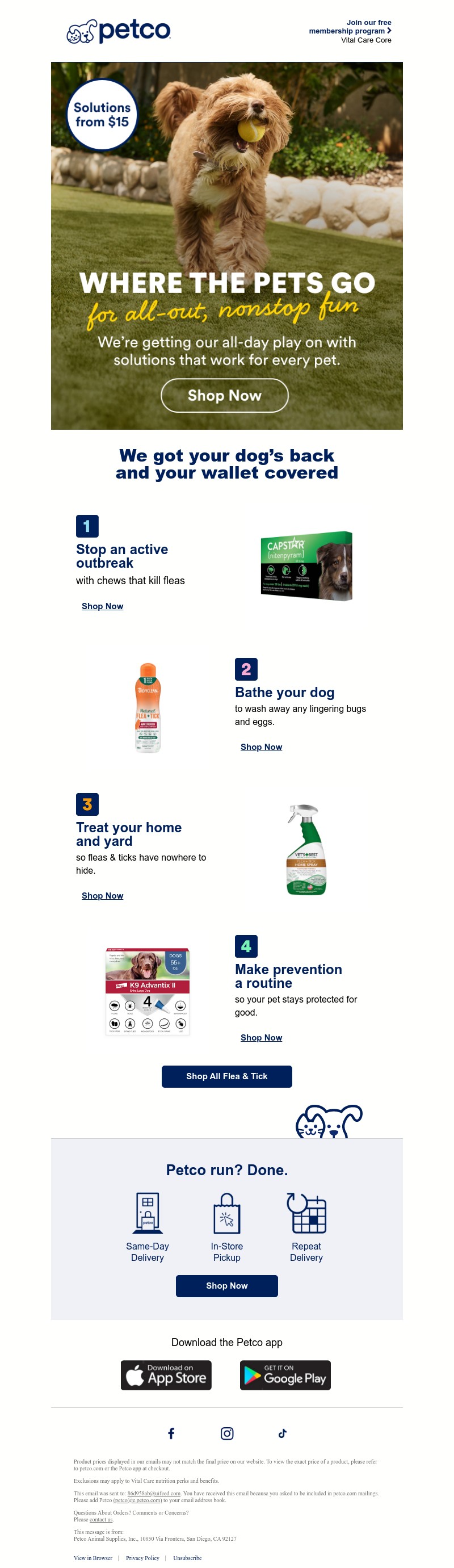 Screenshot of email with subject /media/emails/d6672d9b-248c-4660-9c3b-632a51ec822a.jpg