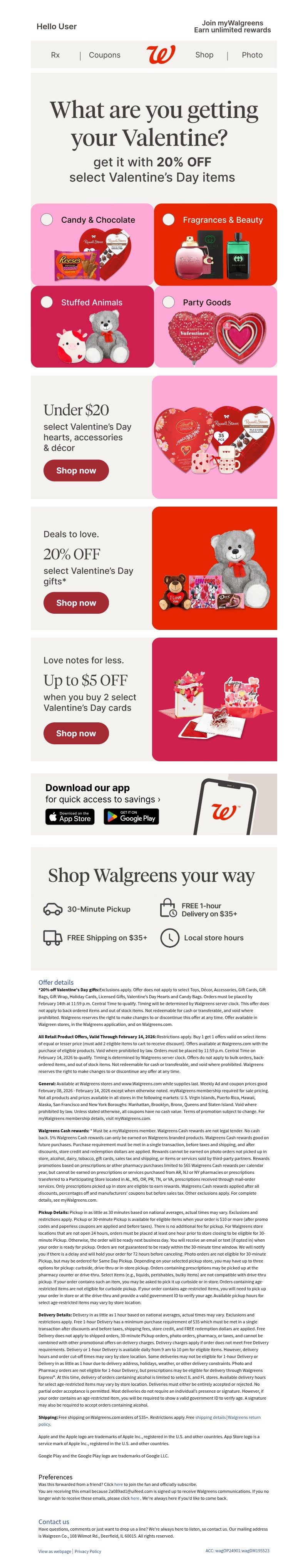 Screenshot of email with subject /media/emails/d67a365c-1fd5-4f70-8f1f-9fdb696fa9f6.jpg