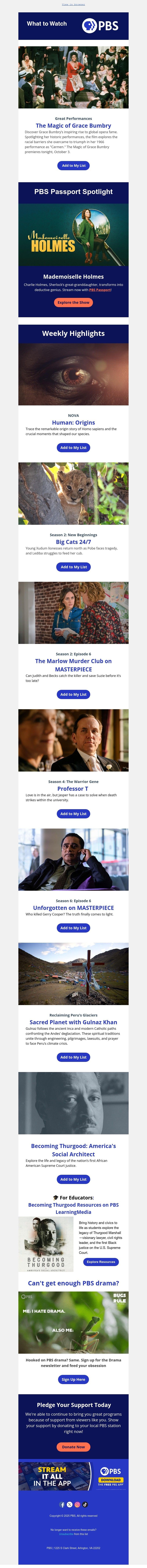 Screenshot of email with subject /media/emails/d704f449-561d-4b76-b260-5804496afd7e.jpg